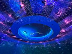 -海合安青岛极地海洋公园