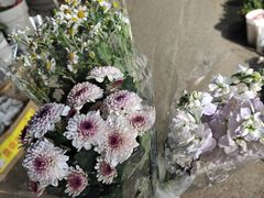 -循礼门鲜花花市(武汉循礼门店)