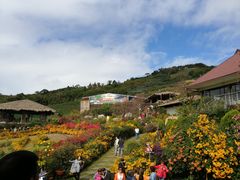 -优游吧斯邹族文化部落