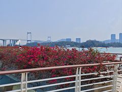 -海沧湾公园