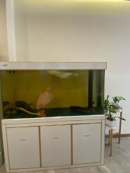 -FUMEIHUI·科技美肤·美体SPA