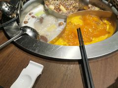 -快乐小羊·内蒙牛羊肉火锅(流花中心店)