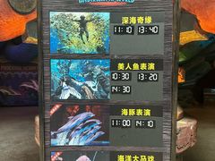 -哈尔滨波塞冬海底世界