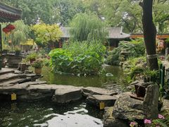 -白家大院·王府宫廷菜(苏州街店)