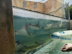 -新加坡水上探险乐园