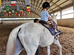 -月河湾马术俱乐部(朝阳店)