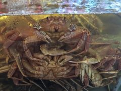 -蟹之国·精品蟹料理(极地店)