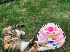 -上海理工大学出版印刷高等专科学院-学生食堂