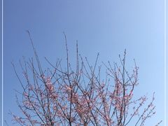 -云水谣景区