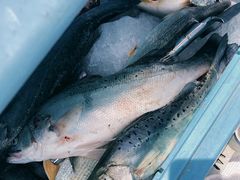 -舟山希尔顿酒店