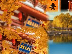 -西安市广仁寺