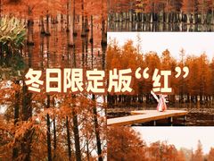 -白鹭湾湿地公园