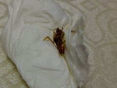 -恒宝大酒楼(城际·荔盈大厦店)