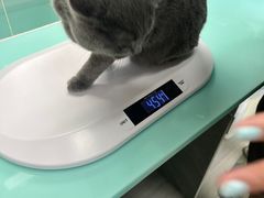 -猫宠乐园·专业洗护