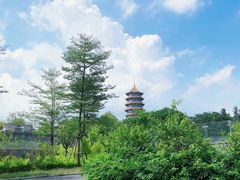 -厦门市图书馆(集美新城馆区)