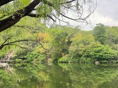 -九如山休闲旅游度假区