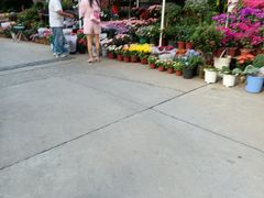 -平吉花卉市场