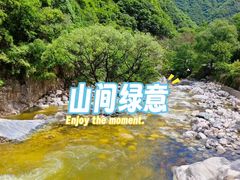 -黑河国家森林公园
