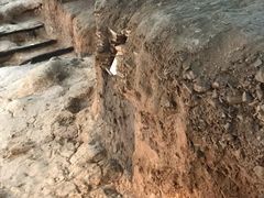 -南越王博物院(王宫展区)