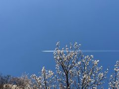 -北京凤凰岭