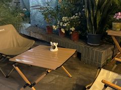 -有猫主题·治愈系猫咖(曾厝垵店)