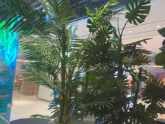 -卡朋西餐(悦汇城店)