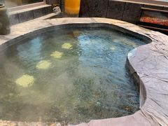 -弘安丽水温泉酒店