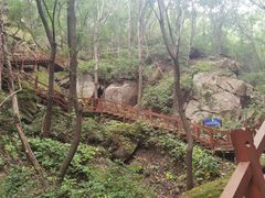 -大岭沟猕猴桃谷风景区
