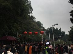 -金鸡山公园