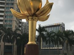 -金莲花广场