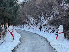 -少华山国家森林公园