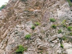 景点-黑河国家森林公园