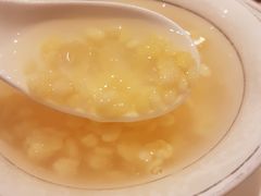 -金燕岛潮州酒楼