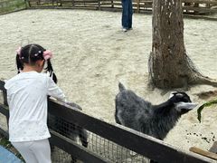 -洪湖家庭农场·团建·露营·会议