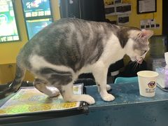 -谜盒子奇幻密室(南屏店)
