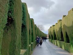 -阿尔罕布拉宫