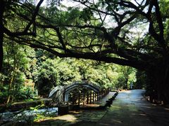 -广州市石门国家森林公园