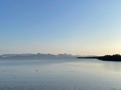 -深圳湾公园(南山区)