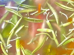 -协和菜馆(凤凰街店)