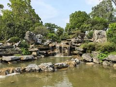 -东莞植物园