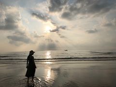 -贝壳沙滩