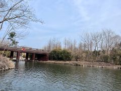 -溱湖国家湿地公园