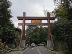 -龙井村