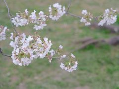 -苏州上方山国家森林公园