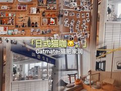 -Catmate·猫肥家润(金润铂宫店)