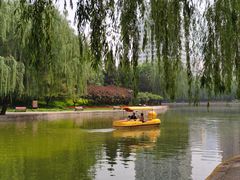 -团结湖公园