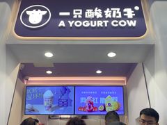 门面-一只酸奶牛(八一路店)