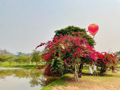 -中国科学院西双版纳热带植物园