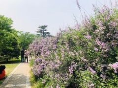 -国家植物园南园