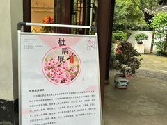 -秋霞圃